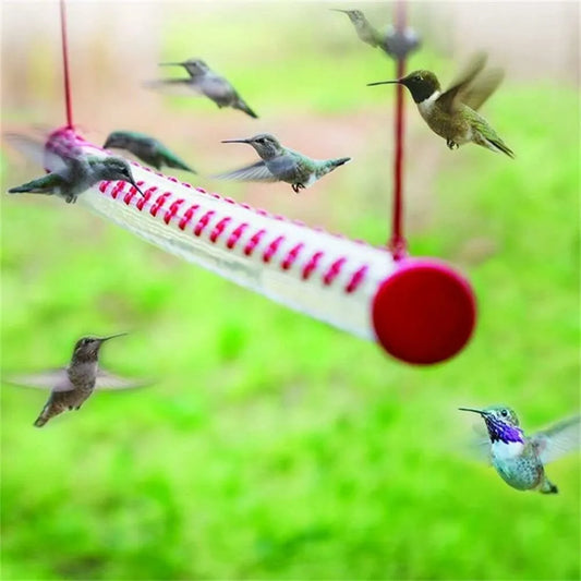 Best Hummingbird Feeder - Limited Promotion