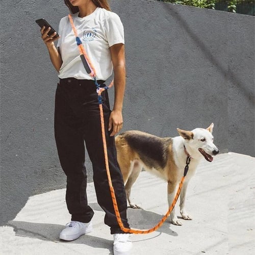 🔥Hands Free Dog Leashes