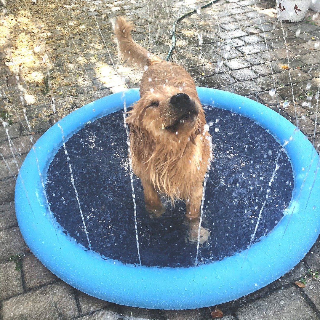 🔥 Non-Slip Splash Pad for Kids and Dog