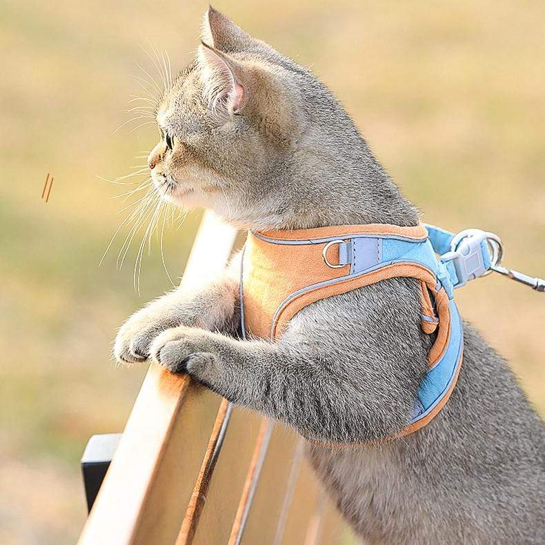 Cat Vest Leash