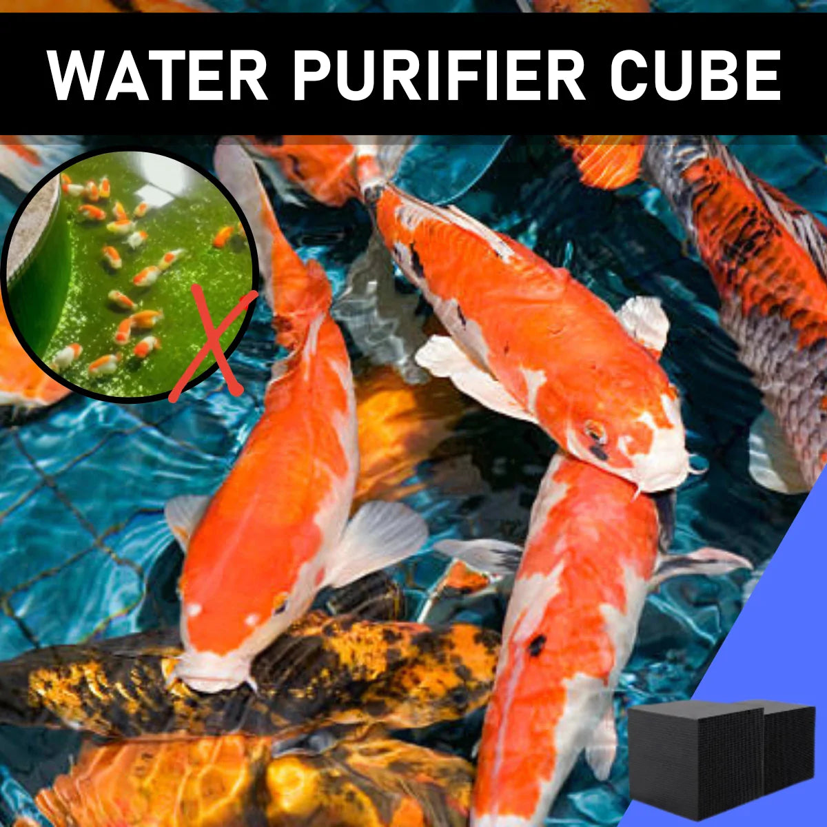 🐟Water Purifier Cube